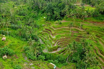 Afternoon Tea in Bali Island