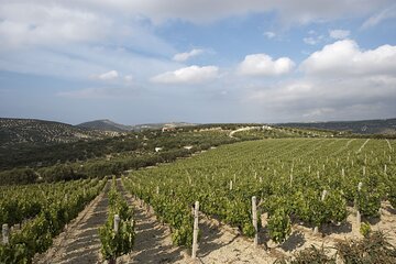 Private Cretan Gastronomic experience Winery visit with Tastings & Cooking Class