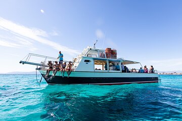 Boat Tour 2 hour in Palma Bay