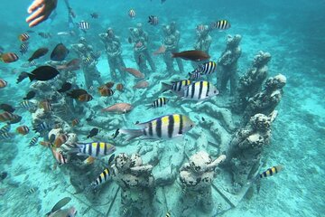 Gili island Snorkeling Half Day Trip departure from Gili Trawangan