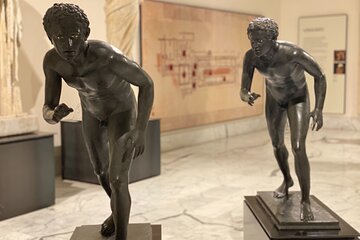 Private Tour of the National Archaeological Museum of Naples