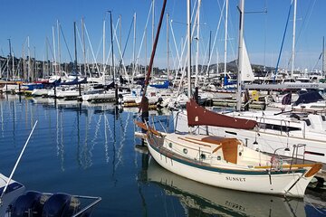 Muir Woods, Sausalito, Marin Headlands, Lighthouse Private Tour 
