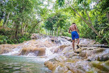 Private Ocho Rios Tour with Dunn's River Falls and Lunch