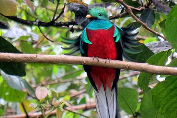 Private Full-Day Bird Watch Workshop