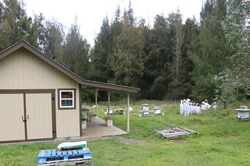 Private 2-Hour Beekeeping Classroom Tour in Honokaa