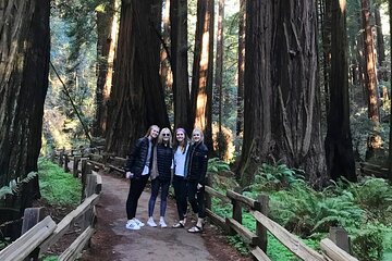 Muir Giant Redwood Trees 3 Hour Private Tour w Golden Gate Bridge