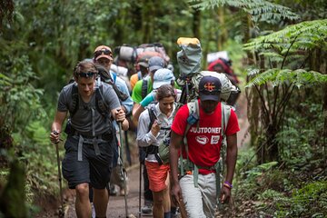 7 Day Rongai Kilimanjaro Summit