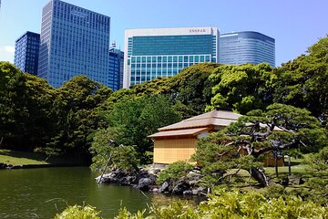 Tokyo Tsukiji & Hamarikyu Gardens Wellness Tour – Walk and Relax