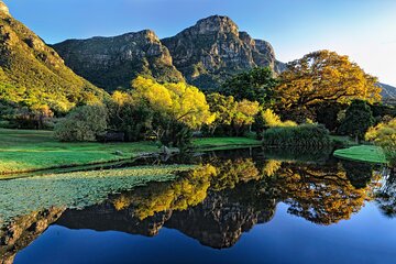  Best of the Cape Tour - Cape Peninsular and Winelands