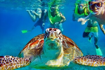 Tulum Mayan Ruins and Snorkeling with Turtles at Akumal