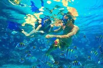 Catalina Island and Bayahibe Snorkel Tour