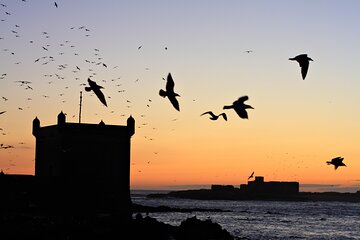 VTC Essaouira