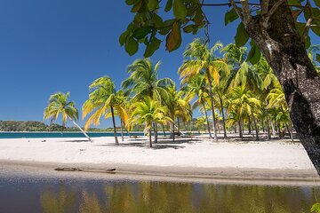 Private Transfer From Liberia Airport To Tamarindo