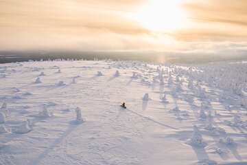 Half-Day Snowmobile Tour in Lapland