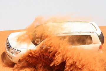 Overnight Desert Safari with BBQ Dinner and Breakfast 