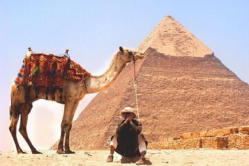 Private Tour to Giza Pyramids and The Egyptian Museum