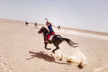 Horse Riding 02 Hours Beach or Desert