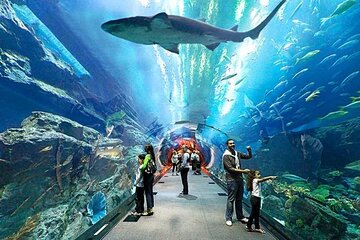 Dubai Aquarium and Underwater Zoo Admission Tickets.