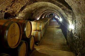 Ribera del Duero Tour: 4 Wineries Visit, Wine Tasting & Lunch