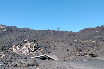 Private Tour of Mount Etna with Etna Doc Wine Tasting