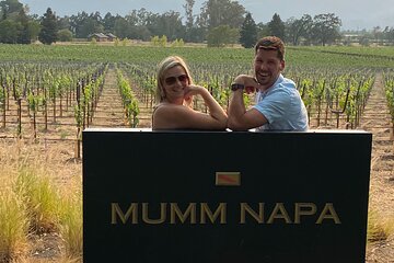 Custom, Private 8-Hour Sonoma and Napa Wine Tour from SF