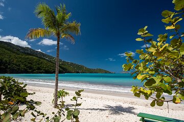 Paradise Taxi & Tours USVI-St.Thomas-Virgin Islands-Island Magen's Beach Tour