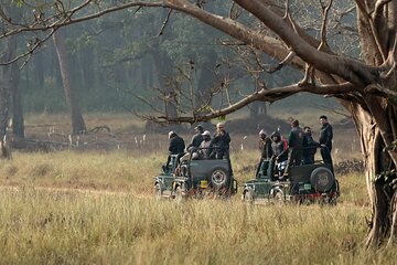 Incredible Wildlife Safari in Heart of Central India