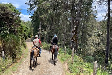 Horseback Ride Around Medellín's Beautiful Countryside!