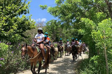 ATV and Horse Riding in Puerto Plata / Shore Excursion & Hotel