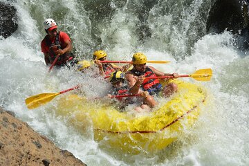 White Water Rafting: Class III and IV on The Tenorio River