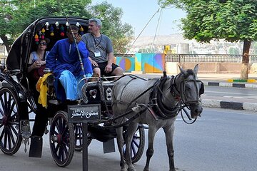 City tour in Luxor by horse carriage