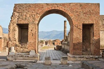 Tour Ercolano Excavations, Lunch and Wine Tasting from Sorrento