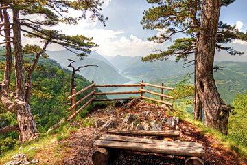 Full Day Trip from Belgrade: The Drina River House And Tara Park Tour