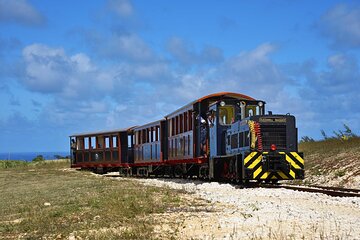 St. Nicholas Abbey & Heritage Railway