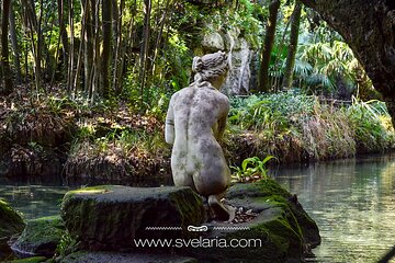 Guided tour of the Royal Palace of Caserta with an art expert