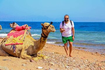 Snorkeling, Camel Ride Private Day Tour In Dahab From Sharm El Sheikh