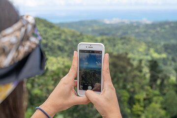 El Yunque Rainforest Half-Day Trip from San Juan