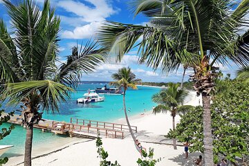 Saona Island Package with Roundtrip Transportation from Airport and Hotels