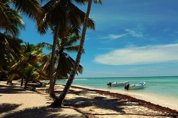 Full Day Tour to Saona Island by Catamaran from Cabeza de toro