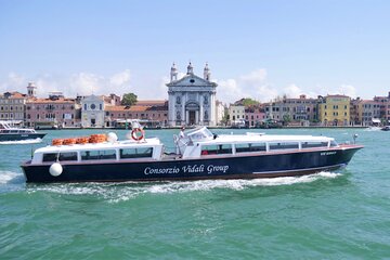 Venice: Private Boat Rental with Driver