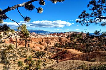 Scenic Tour of Bryce Canyon