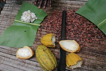 Aburi Botanical Gardens and Cocoa farm - Private Tour