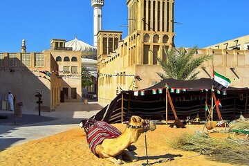 Private History Guided Walking Tour of Dubai