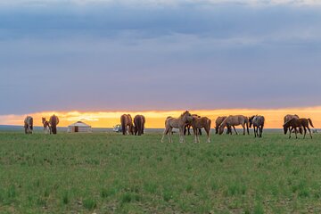 Greate White Lake and Gobi desert