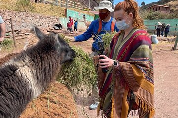 Voluntering at the Cochahuasi Sanctuary