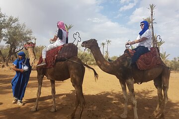 AGAFY Desert 