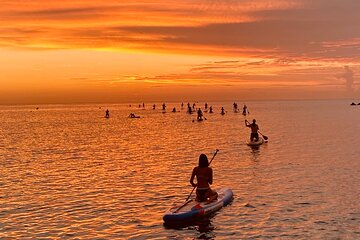 Paddle Surfing in Barcelona