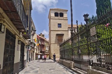 Essential Malaga City Tour