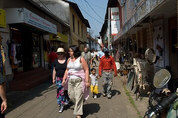 Colony, Backwaters & Beaches of Kerala (7 Days)