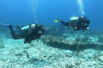 2 Tank Reef Dive in Mexico